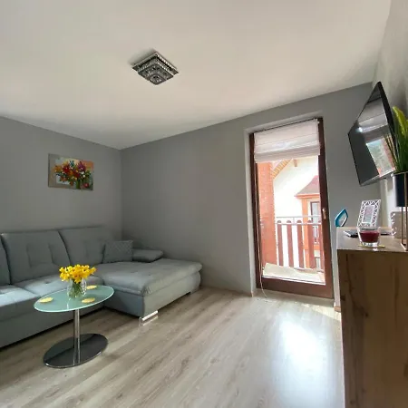 Apartament Artemida Kletno Stronie Slaskie Exterior photo