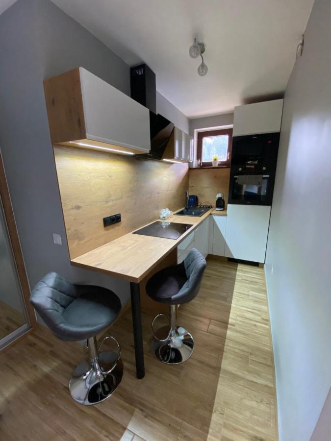 Artemida Kletno Apartment Stronie Slaskie